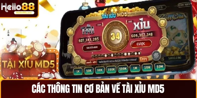 Khái quát thông tin cơ bản về tài xỉu MD5