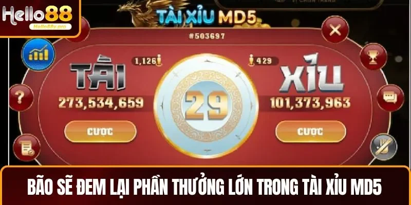 Khi chơi tài xỉu MD5, bão mang lại phần thưởng lớn nhưng khá hiếm gặp